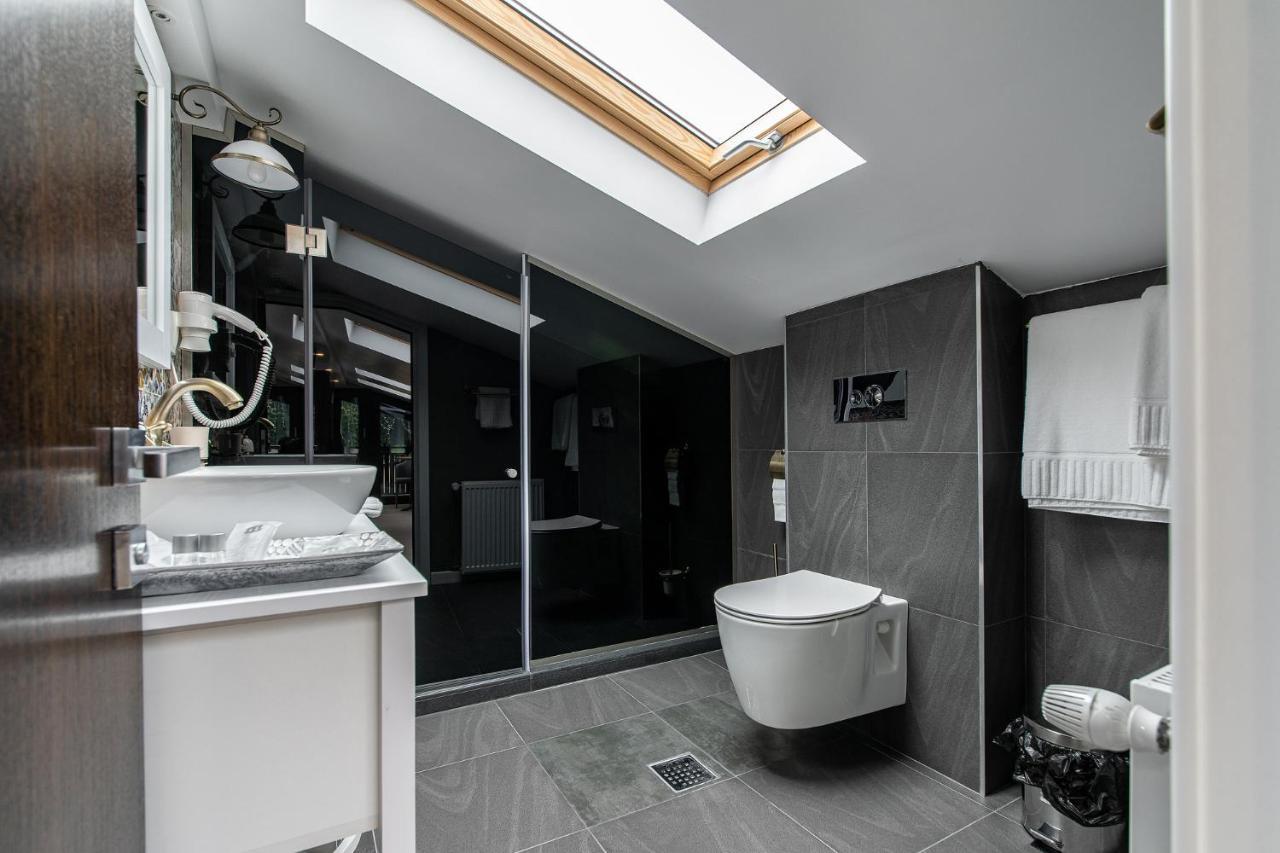 Vila Norbe Busteni Exterior photo